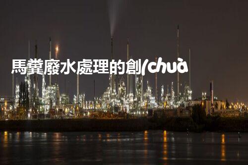 馬糞廢水處理的創(chuàng)新技術(shù)與應(yīng)用？